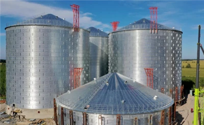 Inquiry From Burkina Faso For 6000T Silos Of Multi-Grain Storage